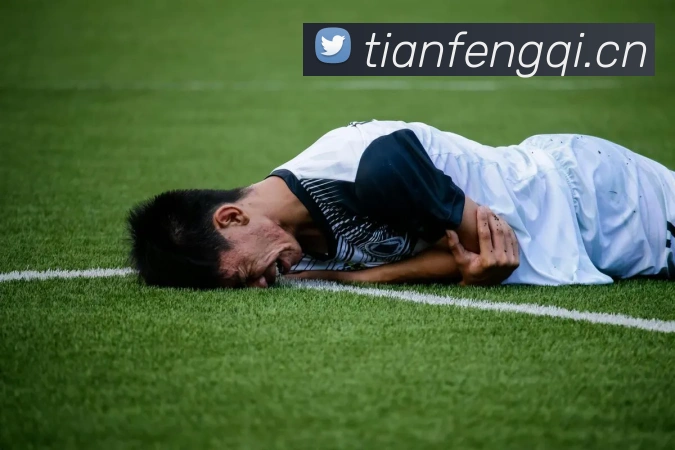 开体育app官网下载最新版服务体系